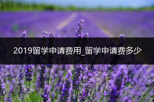 2019留学申请费用_留学申请费多少