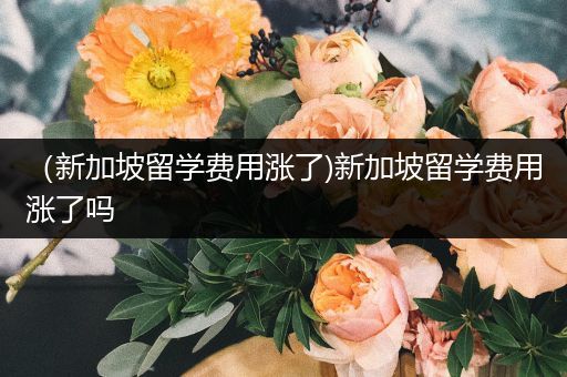 （新加坡留学费用涨了)新加坡留学费用涨了吗