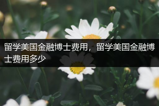 留学美国金融博士费用，留学美国金融博士费用多少