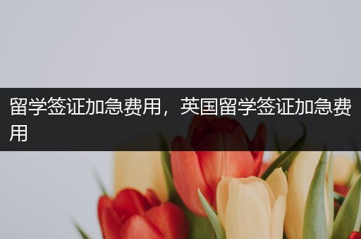 留学签证加急费用，英国留学签证加急费用