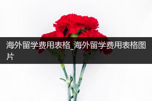 海外留学费用表格_海外留学费用表格图片