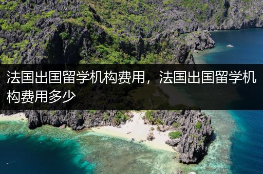 法国出国留学机构费用，法国出国留学机构费用多少