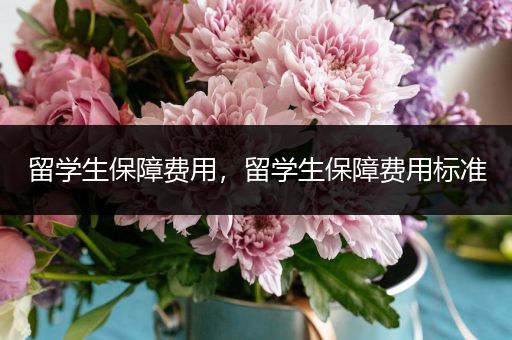 留学生保障费用，留学生保障费用标准