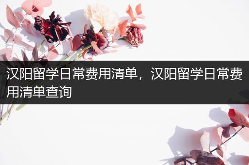 汉阳留学日常费用清单，汉阳留学日常费用清单查询