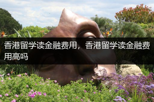 香港留学读金融费用，香港留学读金融费用高吗