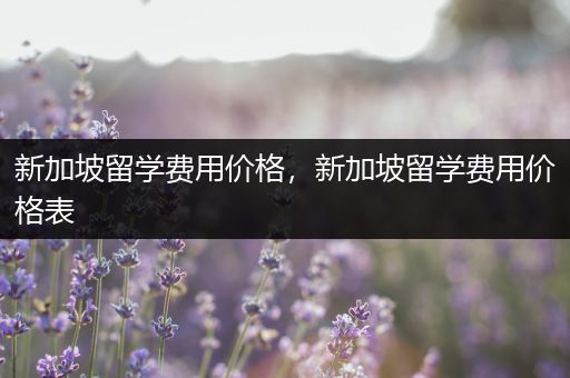 新加坡留学费用价格，新加坡留学费用价格表