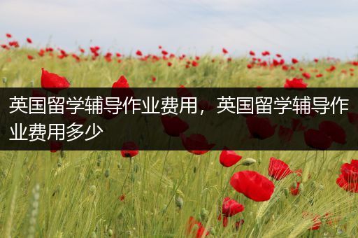 英国留学辅导作业费用，英国留学辅导作业费用多少