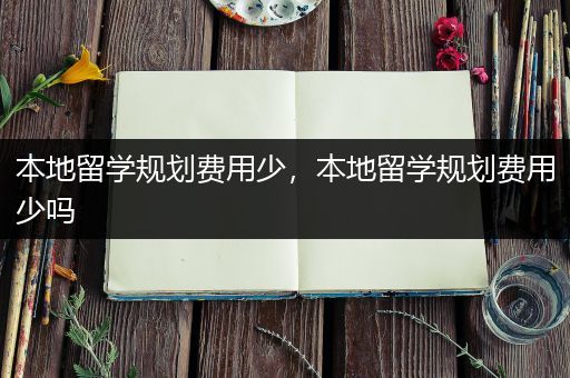 本地留学规划费用少，本地留学规划费用少吗