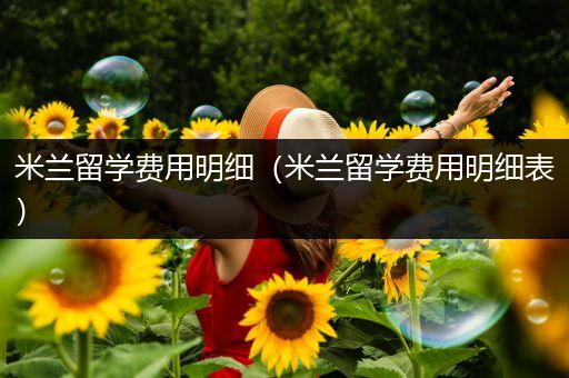 米兰留学费用明细（米兰留学费用明细表）