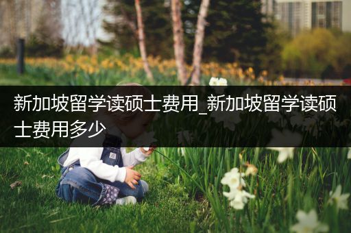 新加坡留学读硕士费用_新加坡留学读硕士费用多少