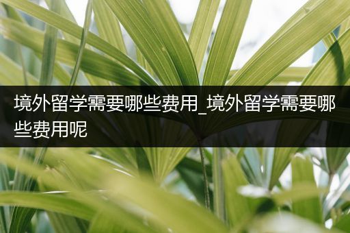 境外留学需要哪些费用_境外留学需要哪些费用呢