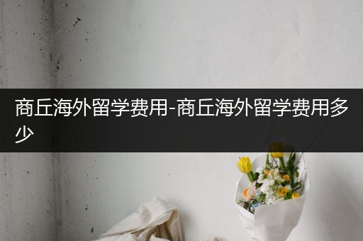 商丘海外留学费用-商丘海外留学费用多少