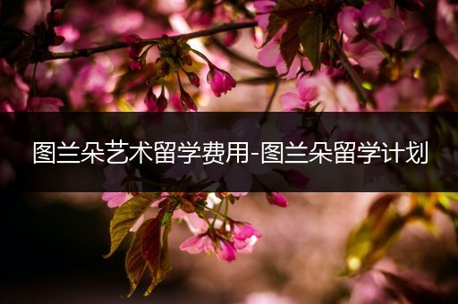图兰朵艺术留学费用-图兰朵留学计划
