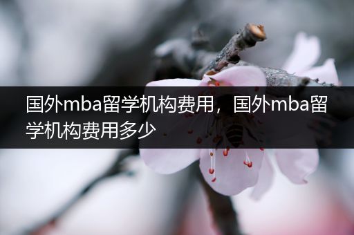 国外mba留学机构费用，国外mba留学机构费用多少