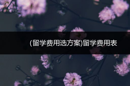 （留学费用选方案)留学费用表
