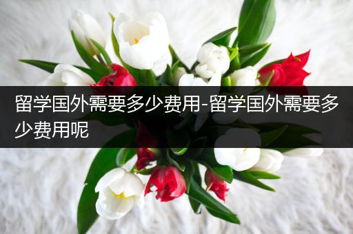 留学国外需要多少费用-留学国外需要多少费用呢