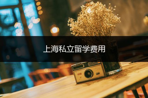 上海私立留学费用