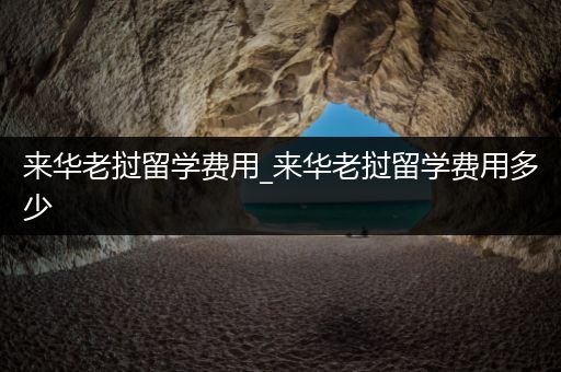 来华老挝留学费用_来华老挝留学费用多少