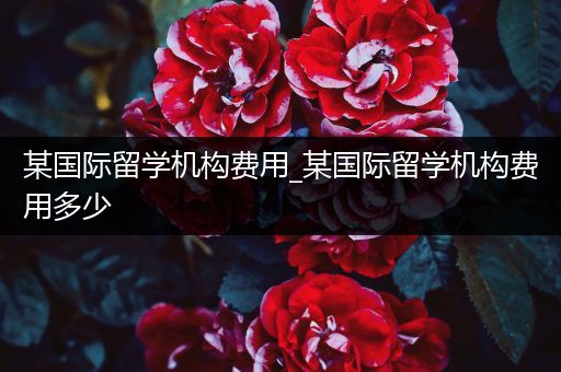 某国际留学机构费用_某国际留学机构费用多少