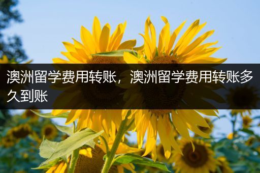 澳洲留学费用转账，澳洲留学费用转账多久到账