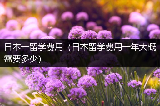 日本一留学费用（日本留学费用一年大概需要多少）