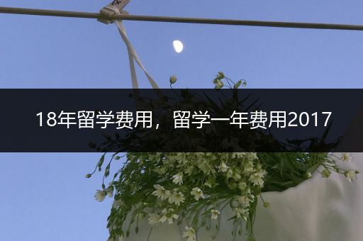 18年留学费用，留学一年费用2017
