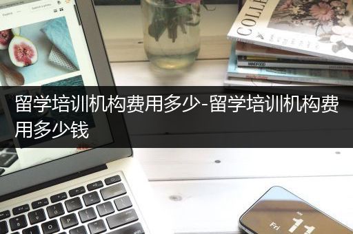 留学培训机构费用多少-留学培训机构费用多少钱