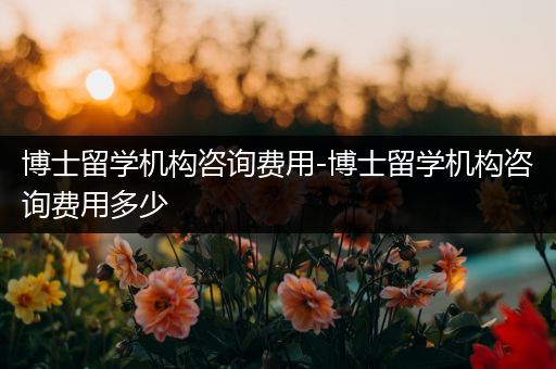 博士留学机构咨询费用-博士留学机构咨询费用多少