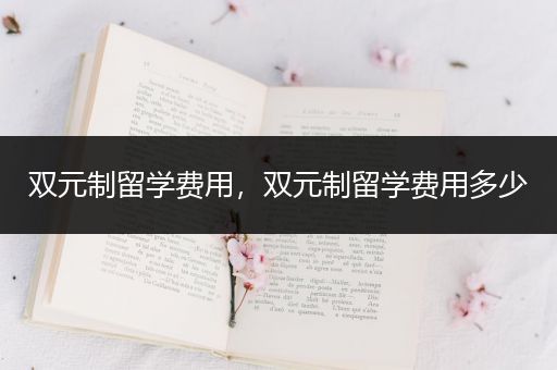 双元制留学费用，双元制留学费用多少
