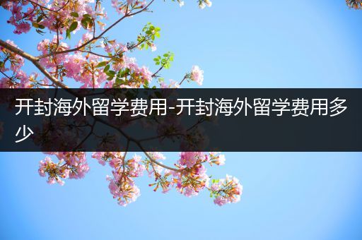 开封海外留学费用-开封海外留学费用多少