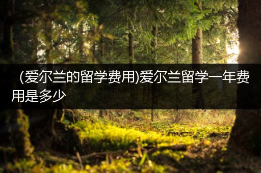 （爱尔兰的留学费用)爱尔兰留学一年费用是多少