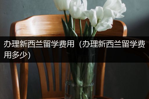 办理新西兰留学费用（办理新西兰留学费用多少）
