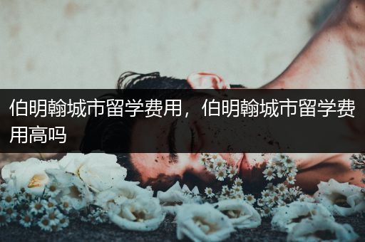 伯明翰城市留学费用，伯明翰城市留学费用高吗