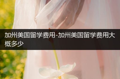 加州美国留学费用-加州美国留学费用大概多少