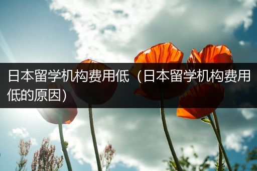 日本留学机构费用低（日本留学机构费用低的原因）