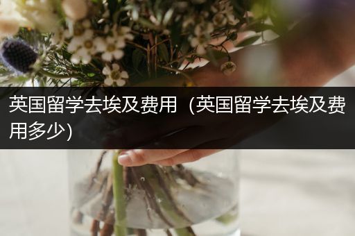 英国留学去埃及费用（英国留学去埃及费用多少）