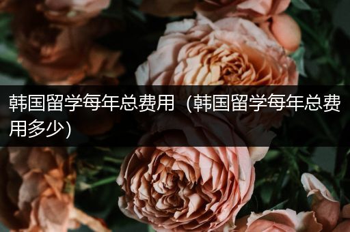韩国留学每年总费用（韩国留学每年总费用多少）