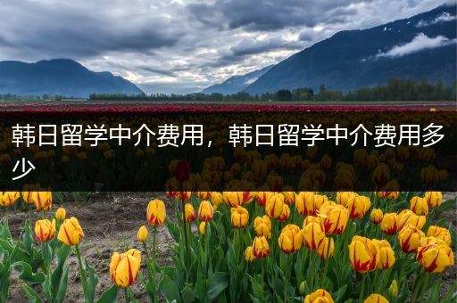 韩日留学中介费用，韩日留学中介费用多少