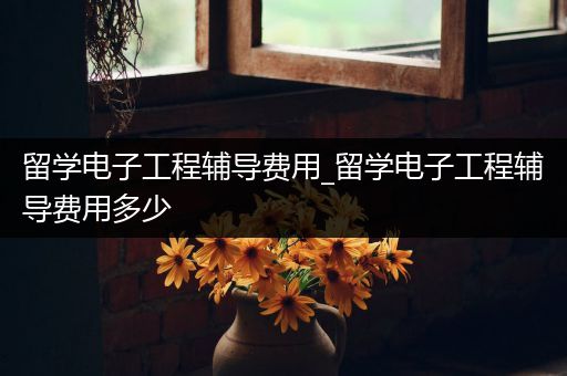 留学电子工程辅导费用_留学电子工程辅导费用多少