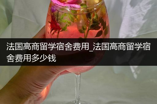 法国高商留学宿舍费用_法国高商留学宿舍费用多少钱