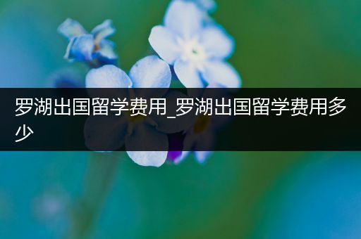 罗湖出国留学费用_罗湖出国留学费用多少