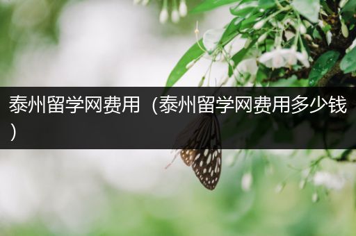泰州留学网费用（泰州留学网费用多少钱）