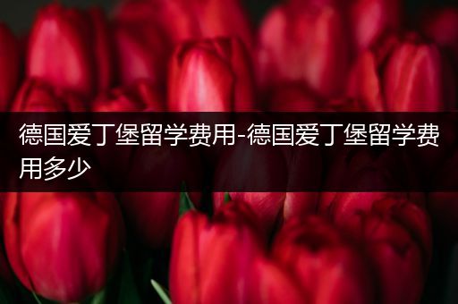 德国爱丁堡留学费用-德国爱丁堡留学费用多少