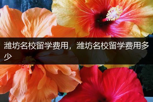 潍坊名校留学费用，潍坊名校留学费用多少