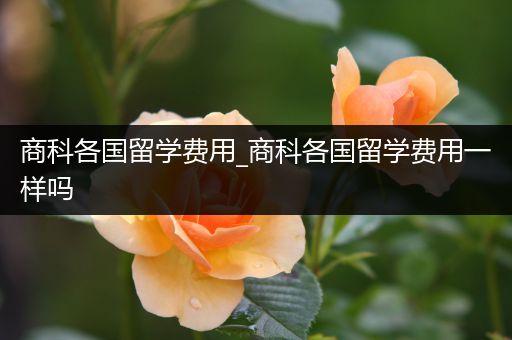 商科各国留学费用_商科各国留学费用一样吗