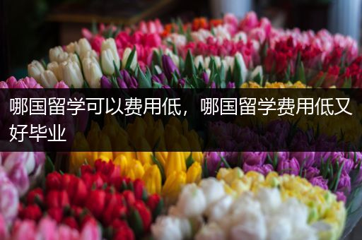 哪国留学可以费用低，哪国留学费用低又好毕业