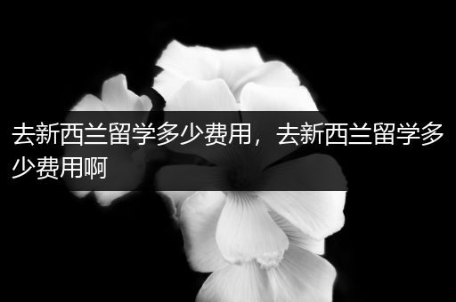 去新西兰留学多少费用，去新西兰留学多少费用啊