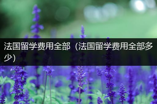 法国留学费用全部（法国留学费用全部多少）