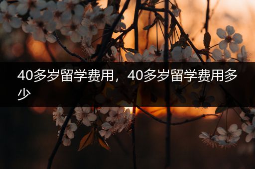 40多岁留学费用，40多岁留学费用多少