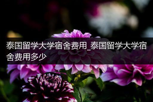 泰国留学大学宿舍费用_泰国留学大学宿舍费用多少